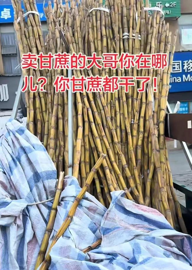 全网寻找的“甘蔗哥”康复出摊了