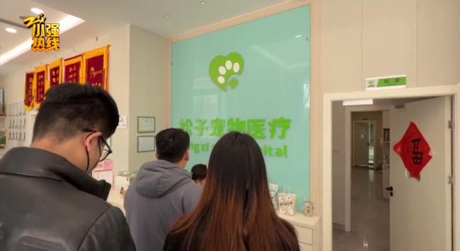 小狗输液时突然死亡女子报警 无资质人员操作引争议