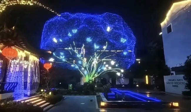 南京网红打卡点上新 星空蝴蝶树浪漫夜景