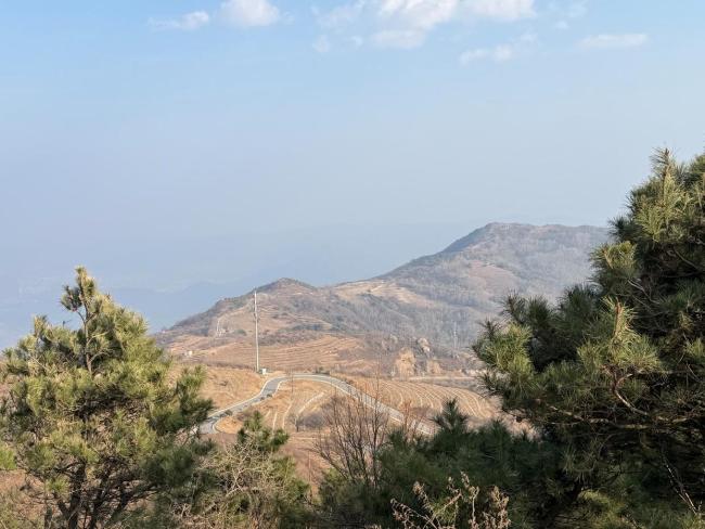 妙峰猴子园本日开园