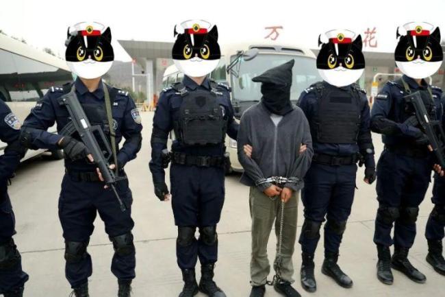 陕西警方抓获涉毒逃犯 历时八年终落网