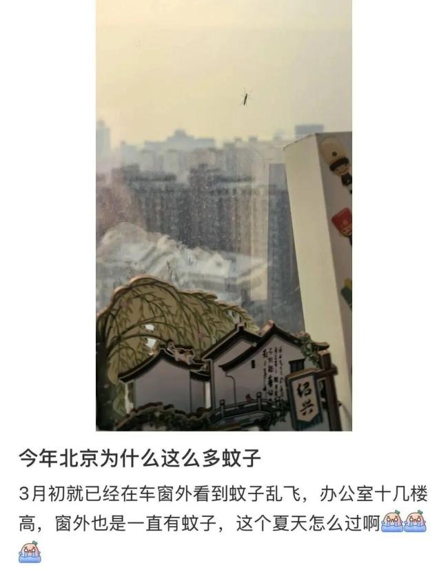 专家回应今年蚊子为什么出现得早