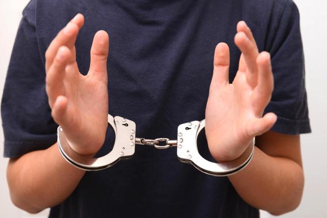 太子集团骨干李雄被引渡回国