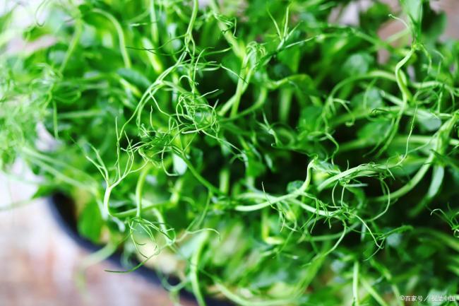 中文字幕无码一区二区免费