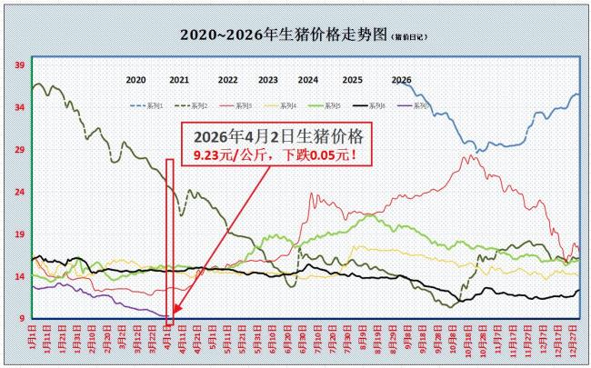 4月2日猪价大跌，仔猪母猪受影响 生猪市场供需失衡