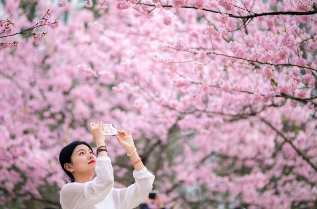 警惕“私人伴游”等变相旅游服务