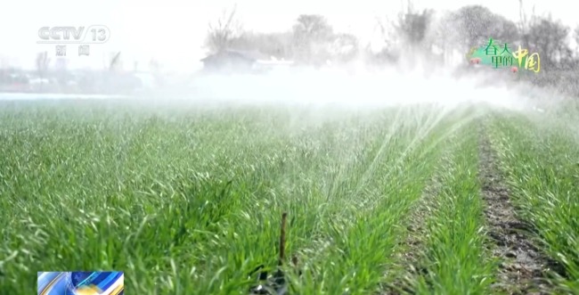 春天里的中国正上演“耕耘绽放”双重奏