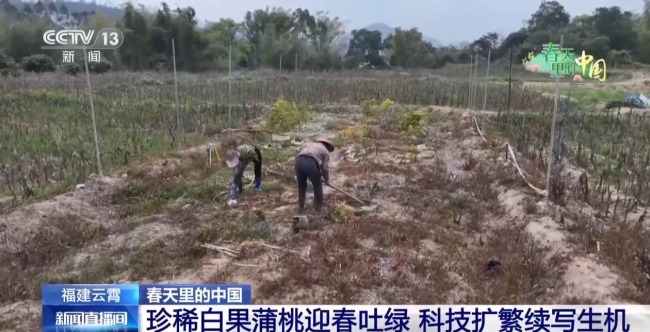 春天里的中國正上演“耕耘綻放”雙重奏