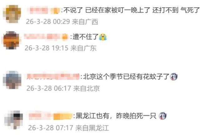 今年蚊子大军战力升级已提前杀到 加强版蚊子来袭