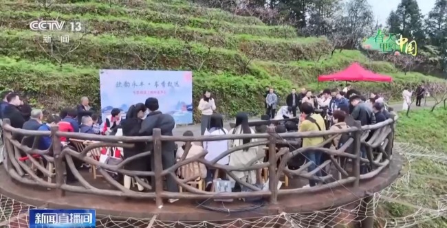 春天里的中國正上演“耕耘綻放”雙重奏