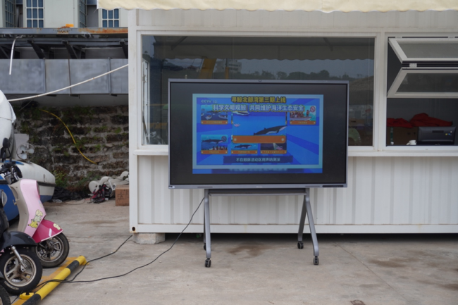 涠洲岛20余艘观鲸船围堵鲸鱼 人类追逐与围观的反思