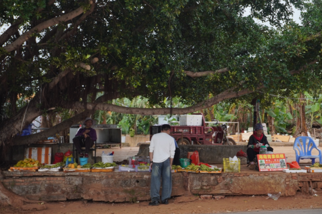 涠洲岛20余艘观鲸船围堵鲸鱼 人类追逐与围观的反思