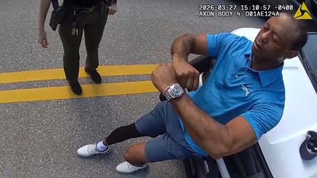 “老虎”伍兹被捕画面曝光 高尔夫巨星翻车被抓