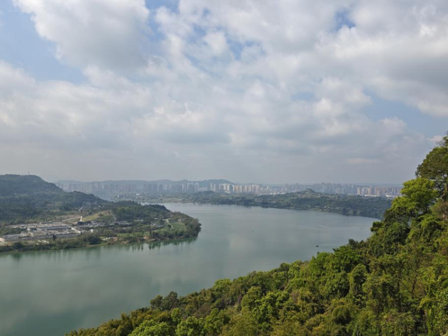 “按猪摇人”走红，重庆女孩“呆呆”：不想带货赚钱 小山村期待蜕变