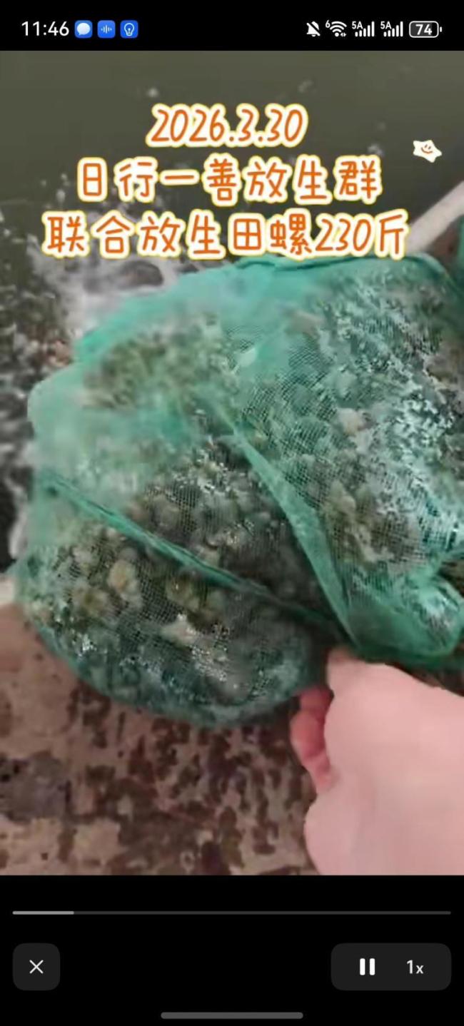 直播间打赏放生:“功德”被明码标价 善举还是生态隐患?