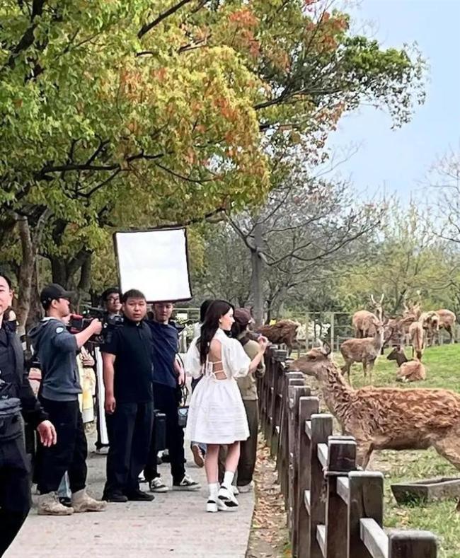 昆凌现身杭州良渚古城遗址公园 仙气白裙喂小鹿
