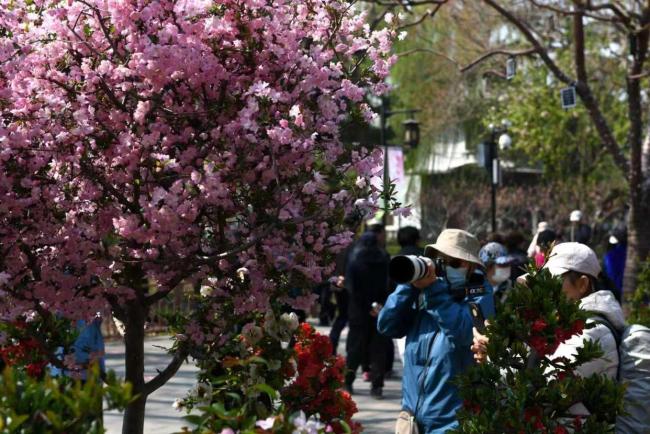 假期首日北京市属公园纳客超58万人次 春日文化盛宴开启
