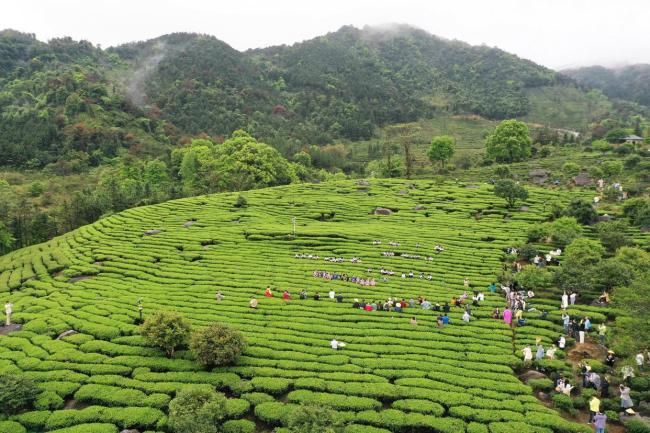 文旅共绘诗与远方新画卷 非遗激活春日文旅