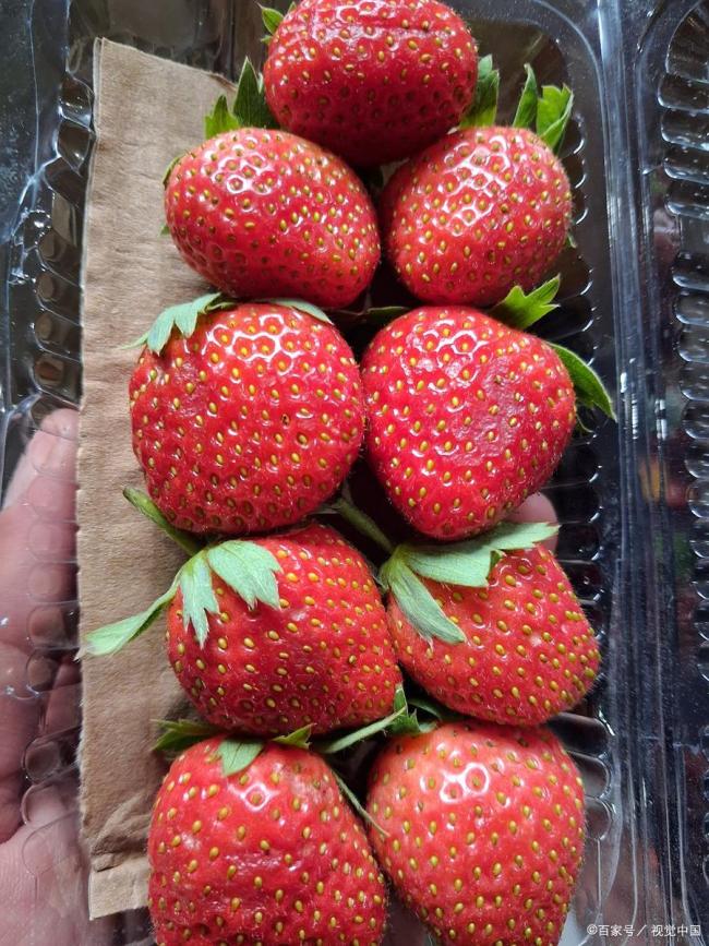 水果为啥越来越甜了 市场选择的结果