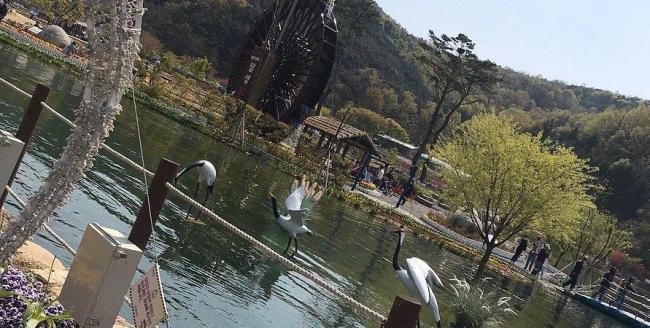 韩国行李箱藏尸案系女婿作案 家庭悲剧背后的深层问题