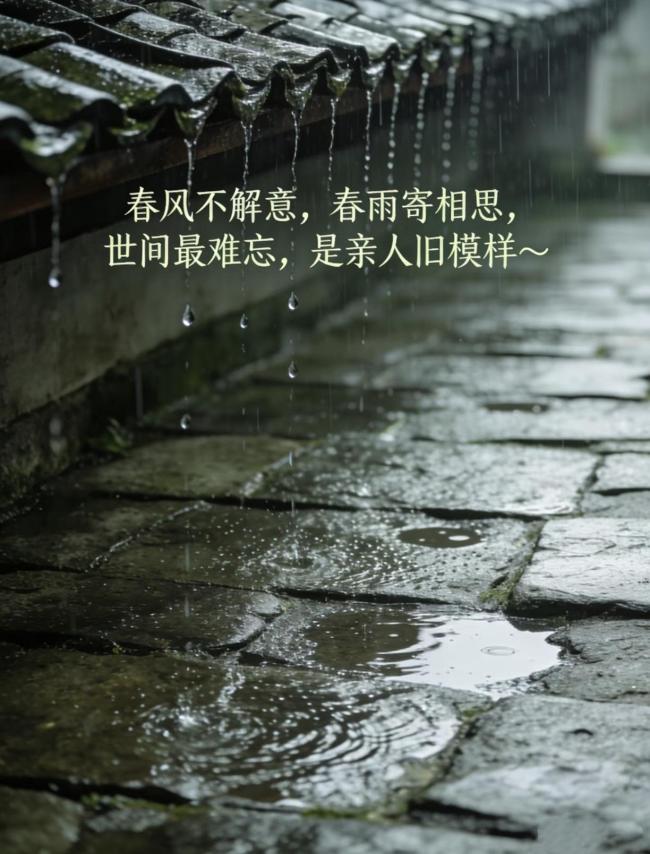 清明要躲藏,不如床上躺:传统智慧与现代生活相结合