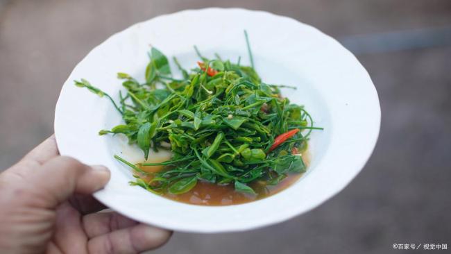 清明时令美味的营养密码 春日尝鲜正当时