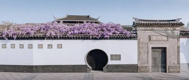 我一切齐好除了有点想你：梨花风起寄相念念