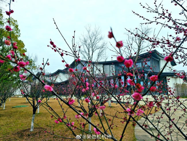 景区人多你还会进去吗 旅行意义的深度叩问
