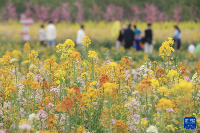 走出家门 享受美好春光