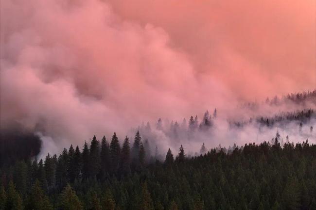 老太给离世儿媳烧纸引发山火获刑