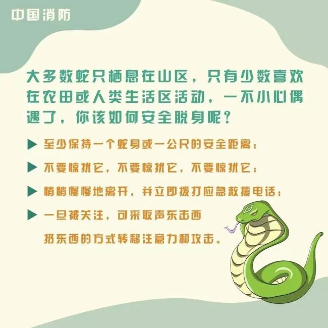 被蛇咬伤后怎么办 奇迹生还故事