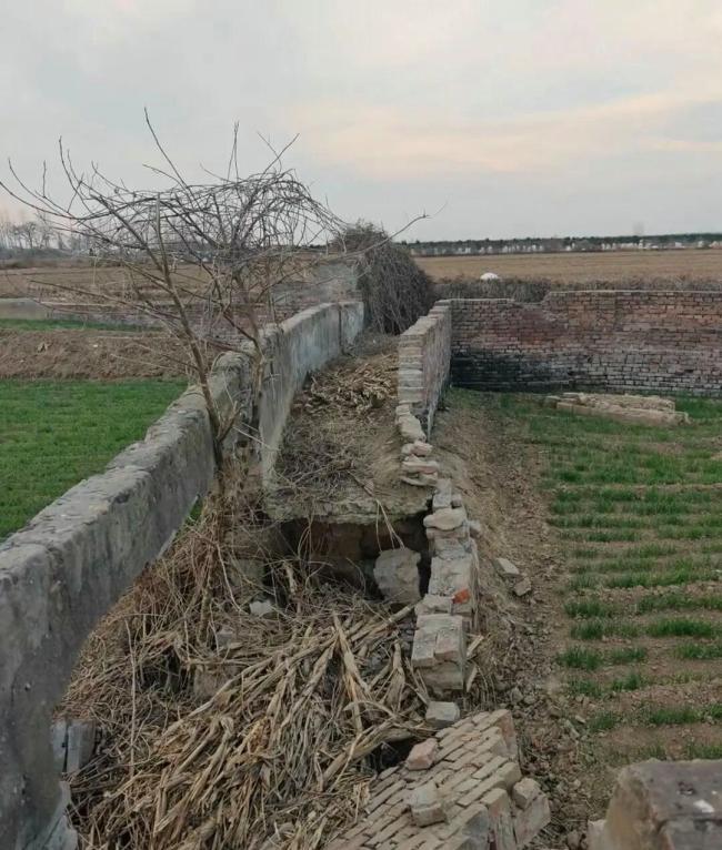 为什么年轻人迷上给古人扫墓 一场跨越时空的会面