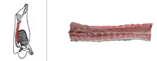 排骨只是看着瘦 其实是热量炸弹 脂肪含量惊人