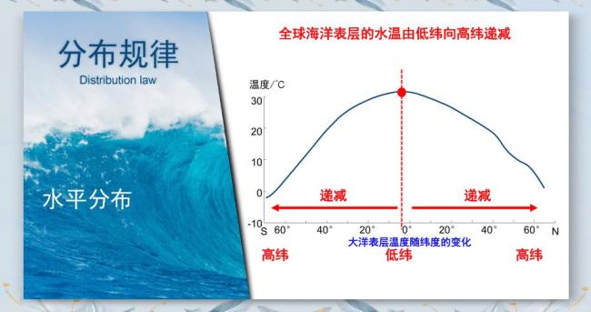 深圳海边的“粉色精灵”究竟是谁 美丽背后的生态警报