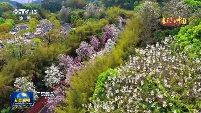 春天里的中國丨繁花遍野 山河皆入春