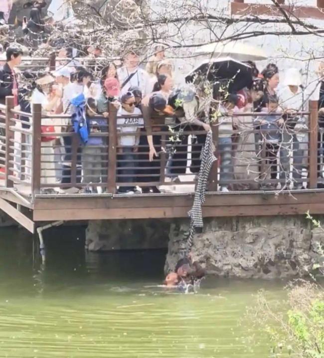 女子抱娃落水游客施救 母爱感动众人