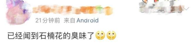 左右为“楠”的季节又到了 石楠花香惹争议