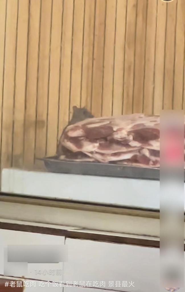 衡水一羊汤店再现“料理鼠王”