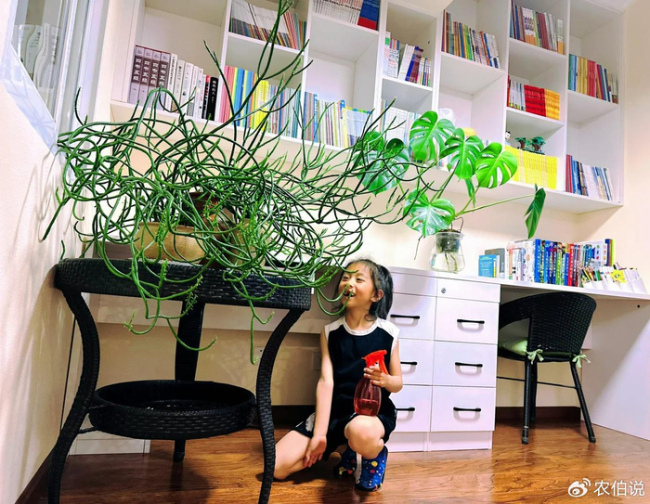 北京一爷爷一棵多肉养9年，网友：成精了，长成飞扬跋扈的样子