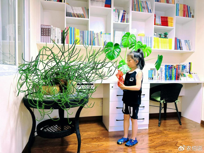 北京一爷爷一棵多肉养9年，网友：成精了，长成飞扬跋扈的样子