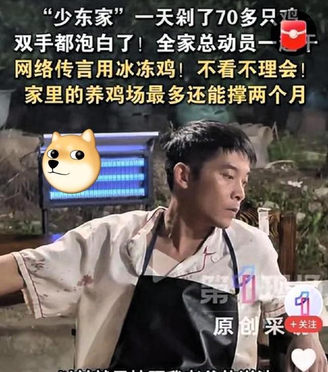 全网都在复刻莫氏鸡煲 虚幻的美食传说