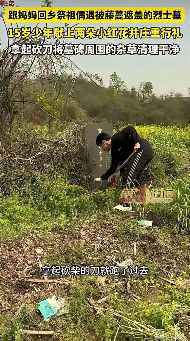 少年偶遇烈士墓主动除草献花你咋看 致敬少年强
