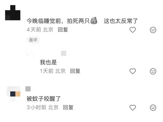 蚊子提前北上了 蚊子提前“开工”!