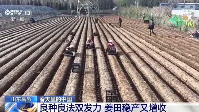 新型农机田间“上岗” 多地育秧播种按下加速键
