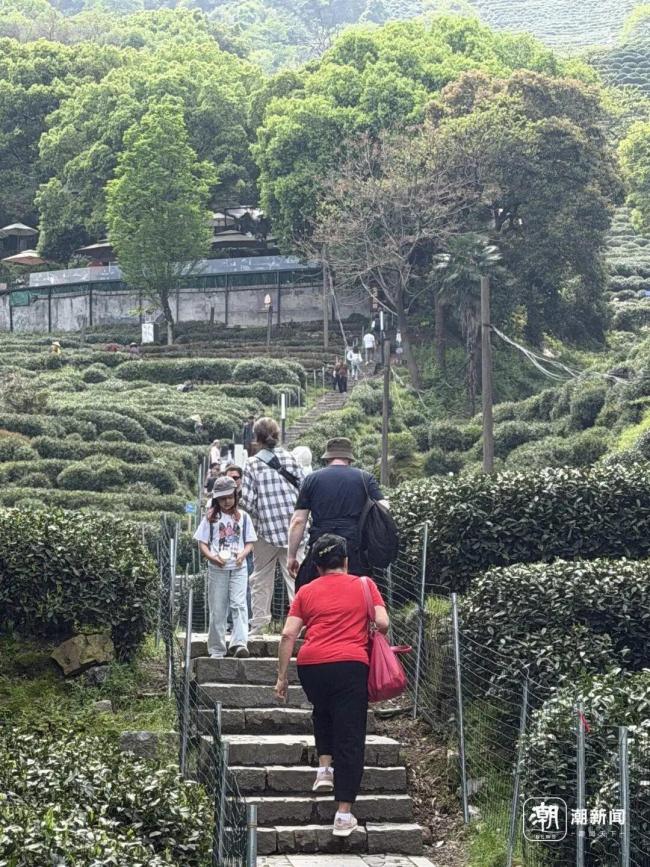 酒店店长回应被周杰伦打卡后爆火 甜蜜烦恼随之而来