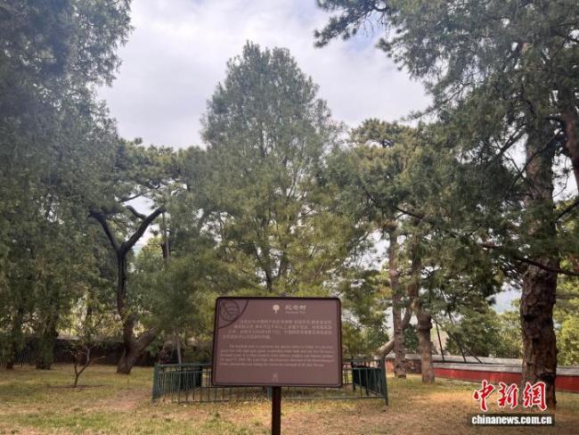 在京西碧云寺缅怀孙中山 追思伟人传承精神