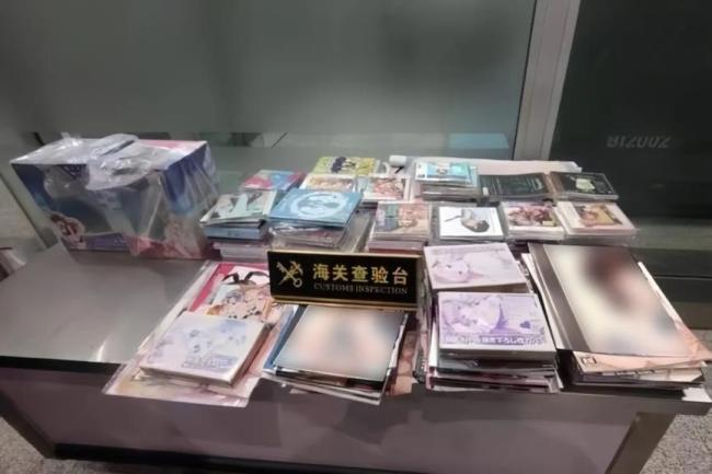 女子从日本带回244本淫秽漫画获刑