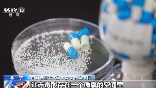杨柳树为何飞絮？如何防范？专家解析