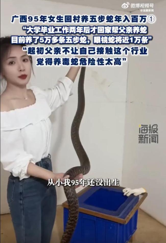 95后姑娘养6万多条毒蛇年入百万 勇敢追梦回村助父