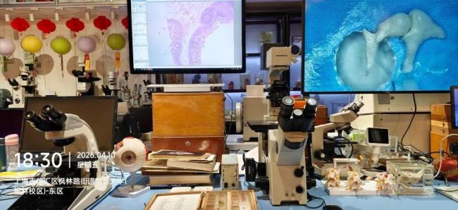 女孩不慎摔坏标本 馆长暖心安抚 守护好奇心